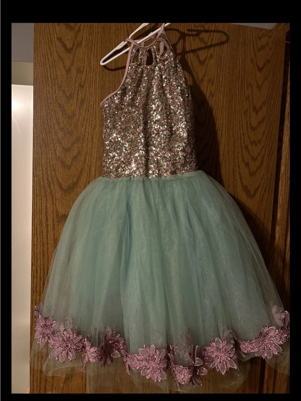 Sparkling Pink Sequin and Mint Tulle Flower Dress - costume